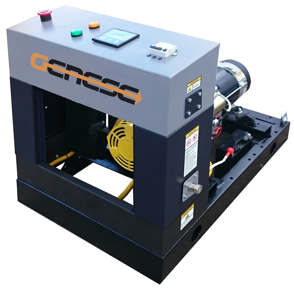 Газовый генератор Genese Standard 6250 Neva